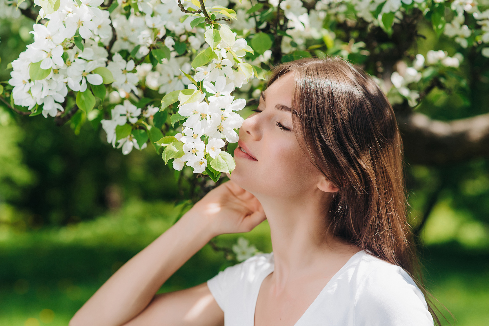 Primavera